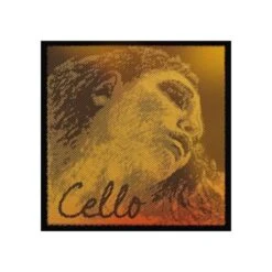 EVAH PIRAZZI GOLD Cello String C By Pirastro