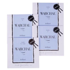 BRILLIANT VINTAGE Violin String SET By Warchal