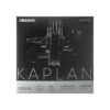 VIVO Violin String SET By Kaplan