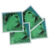 EVAH PIRAZZI Violin String SET By Pirastro