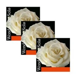 WONDERTONE SOLO Violin Strings A-D-G By Pirastro