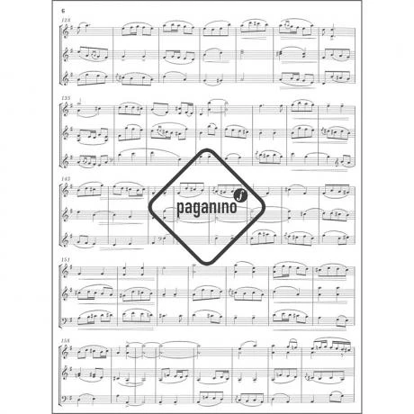 Borodin: Trio In G-moll - Image 2