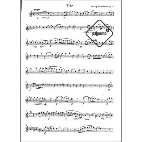 Beethoven, L. V.: Trio Op. 87 C-Dur - Image 2