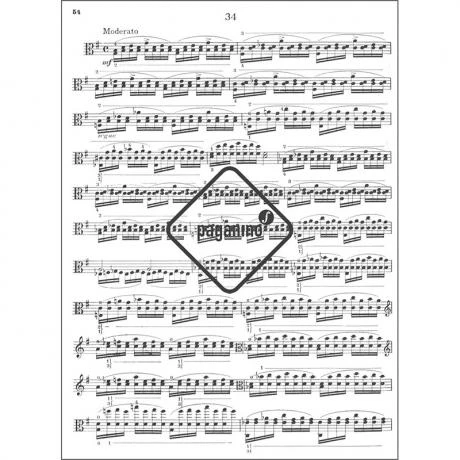 Kreutzer, R.: 42 Studies - Image 2