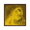 EVAH PIRAZZI GOLD Violin String A By Pirastro