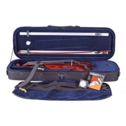 PACATO Concerto Violin Set