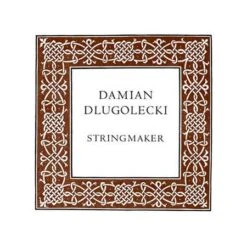 Damian DLUGOLECKI Violin String E