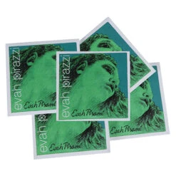 EVAH PIRAZZI Violin 5-String SET By Pirastro