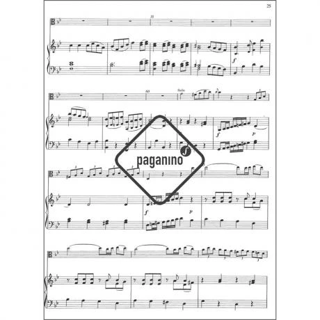 Stamitz, A.: Violakonzert B-Dur - Image 2