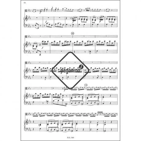 Graun, J. G.: Violasonate C-Moll - Image 2