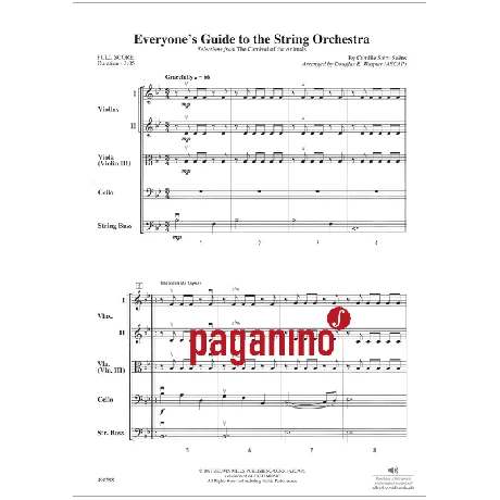 Everyone's Guide To The String Orchestra - Image 3