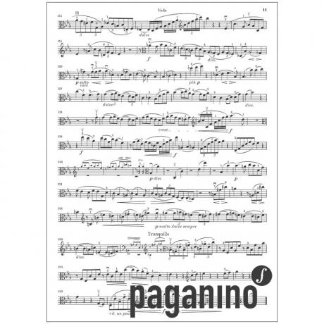 Brahms, J.: Violasonaten Op. 120/1-2 F-Moll Und Es-Dur - Image 2
