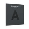 DOMINANT PRO Viola String A By Thomastik-Infeld