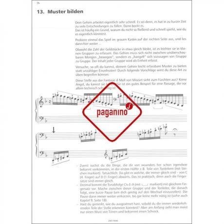 Langeheine, Linda: Üben? Und Wie? - Image 2