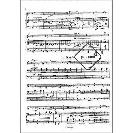 Beer, L.: Concertino Op. 81 D-Moll - Image 2