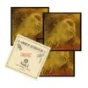 EVAH PIRAZZI GOLD Viola Strings D-G-C + Larsen A