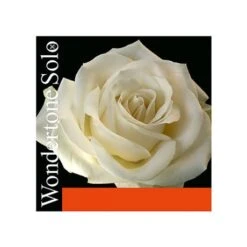WONDERTONE SOLO Violin String A By Pirastro